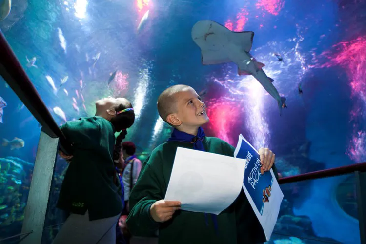 Sealife Schools Programs Activitypacks