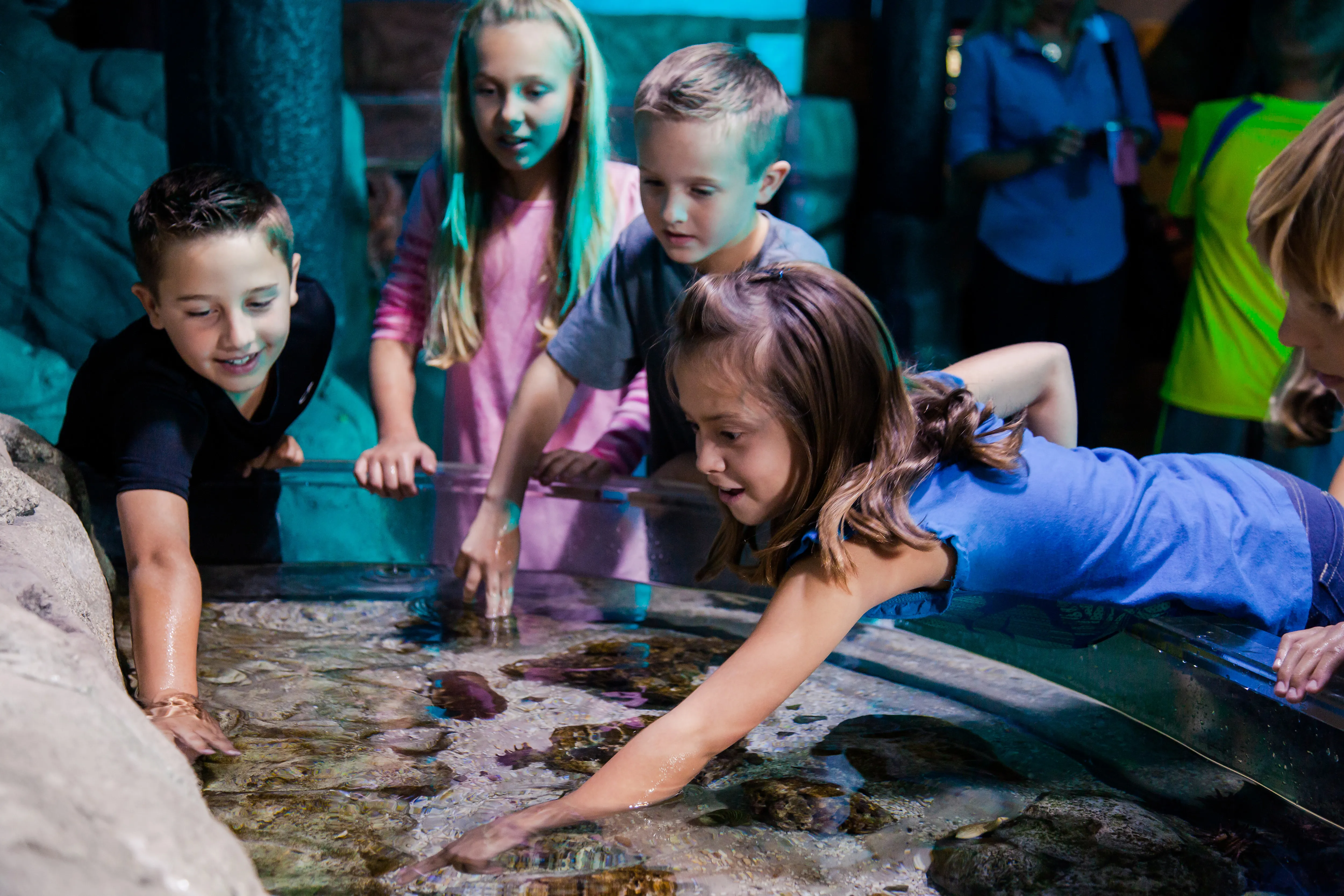 Sealife Groups Birthdays | SEA LIFE Aquarium