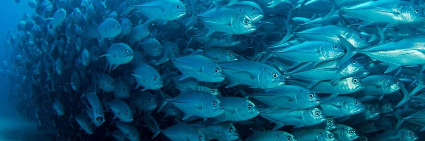 Schools and Groups at SEA LIFE Aquarium