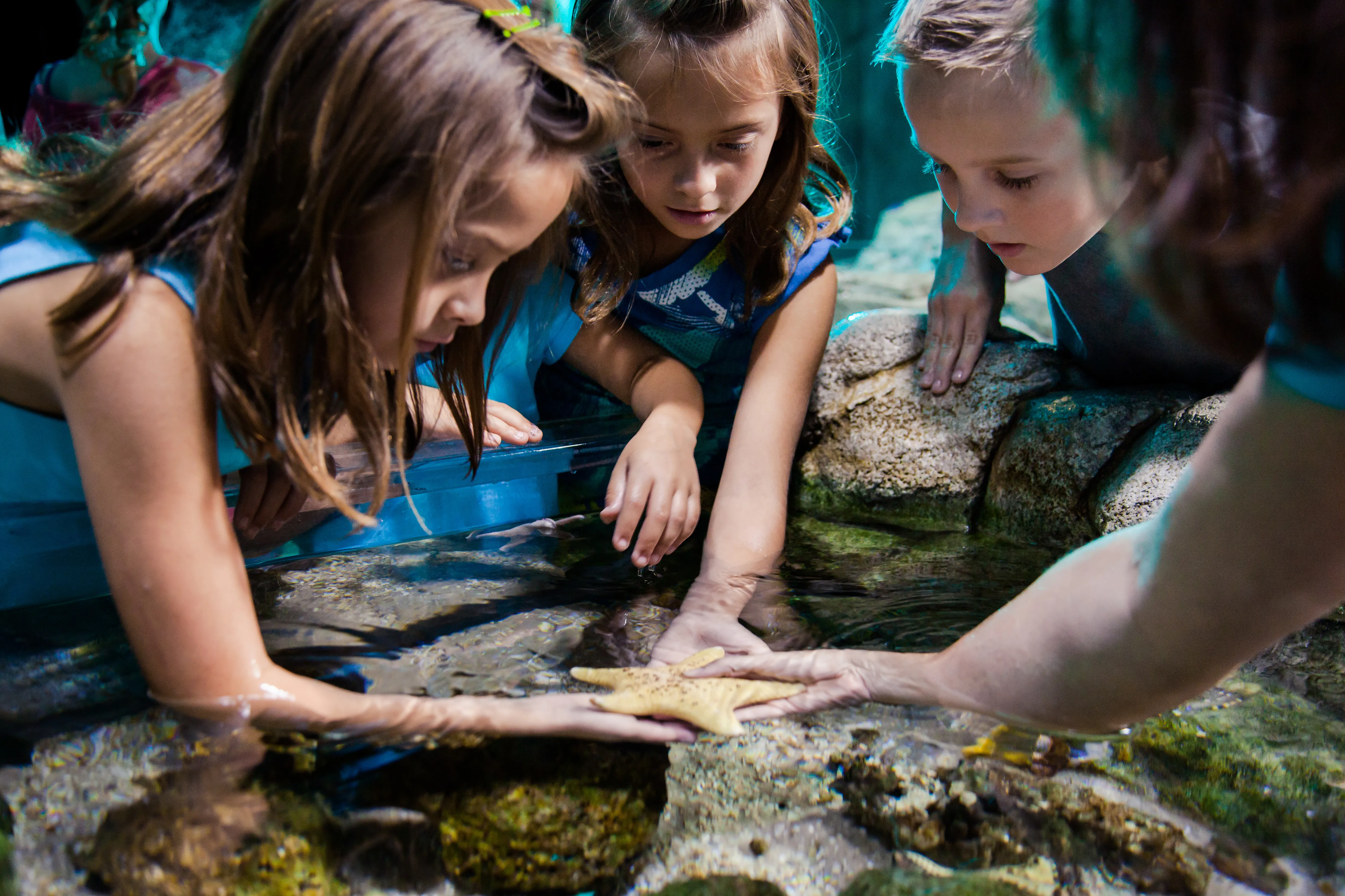 7900 Untitled 448 | SEA LIFE Michigan Aquarium