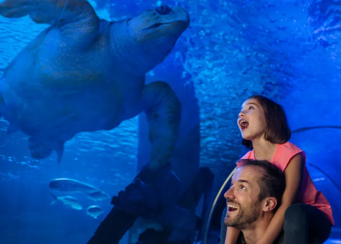 Membership | SEA LIFE Aquarium