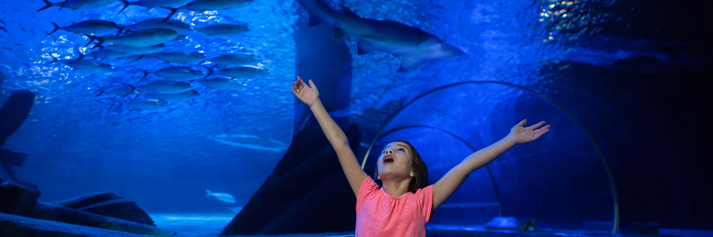 Child inside of the Ocean Tunnel at SEA LIFE San Antonio